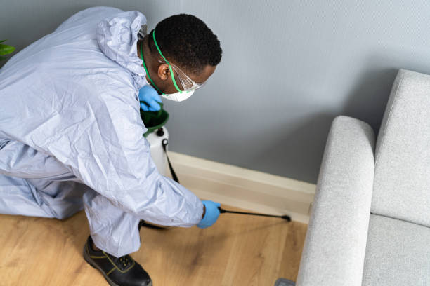 Best Bed Bug Extermination  in Glenmoor, OH